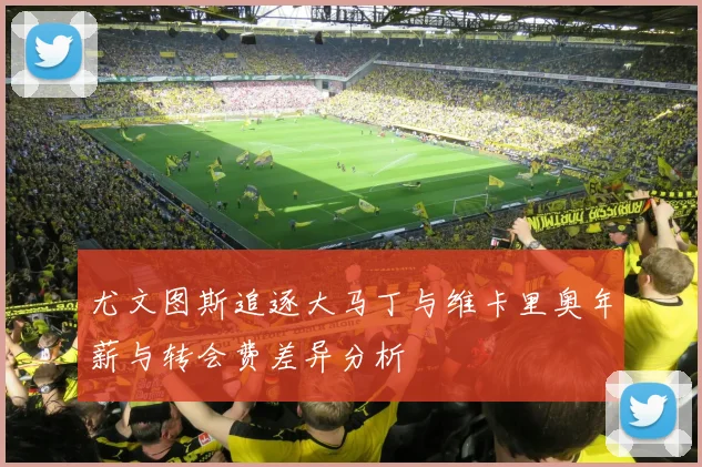 尤文图斯追逐大马丁与维卡里奥年薪与转会费差异分析